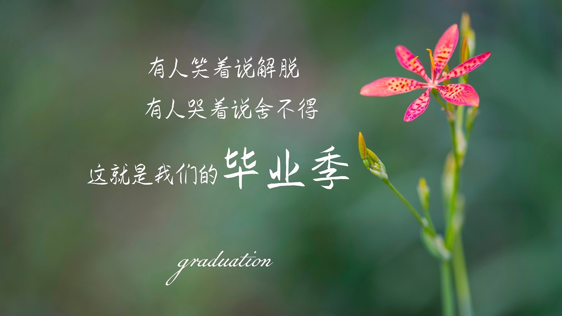 决胜千里之外：明智的排位策略，决胜千决胜千里之外