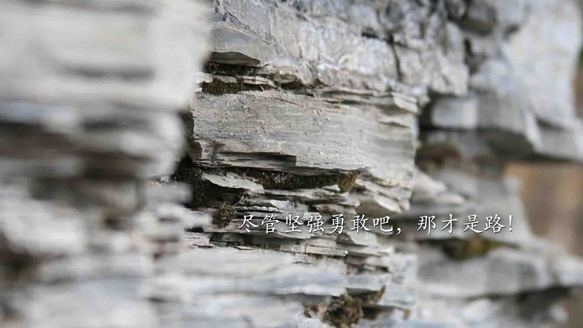 巴西马术协会与德国马术协会建立战略合作伙伴关系，共同推动马术文化发展。