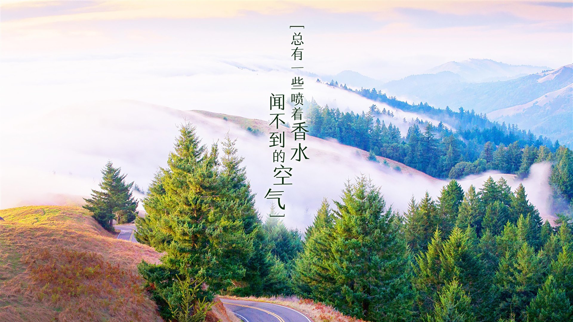 赛后：车队技术分析与未来展望，车队赛是什么