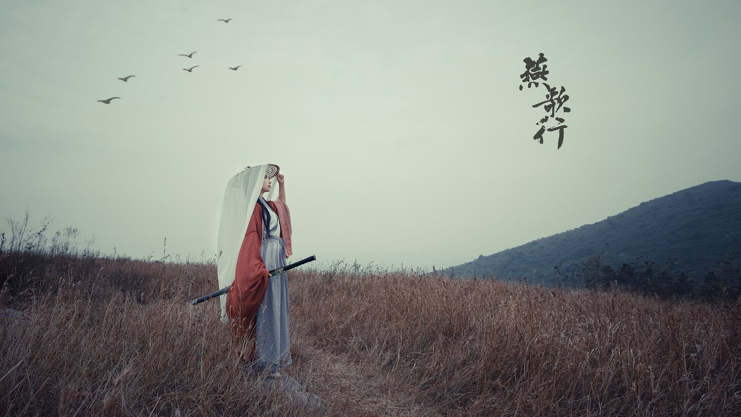 体育文化品牌塑造策略，体育品牌形象