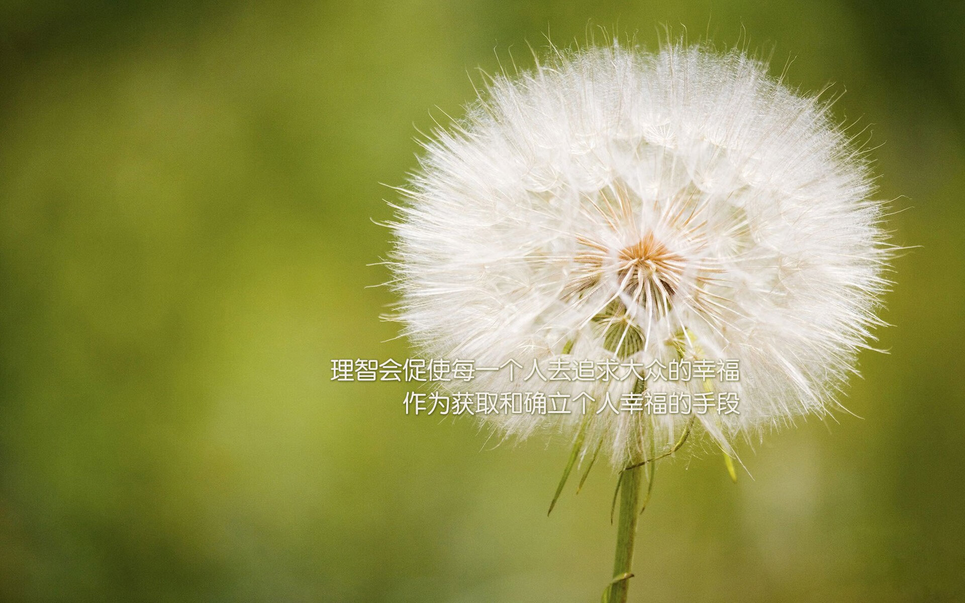 运动员焦点：球员的日常训练与生活揭秘，职业球员日常训练
