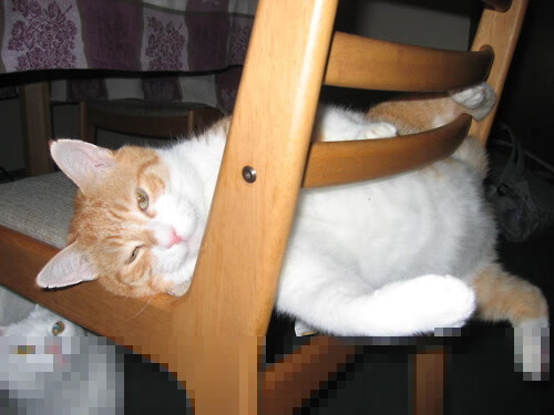 凯特·道格拉斯打破僵局,刷新赛会纪录,道格拉斯凯尔纳百度百科