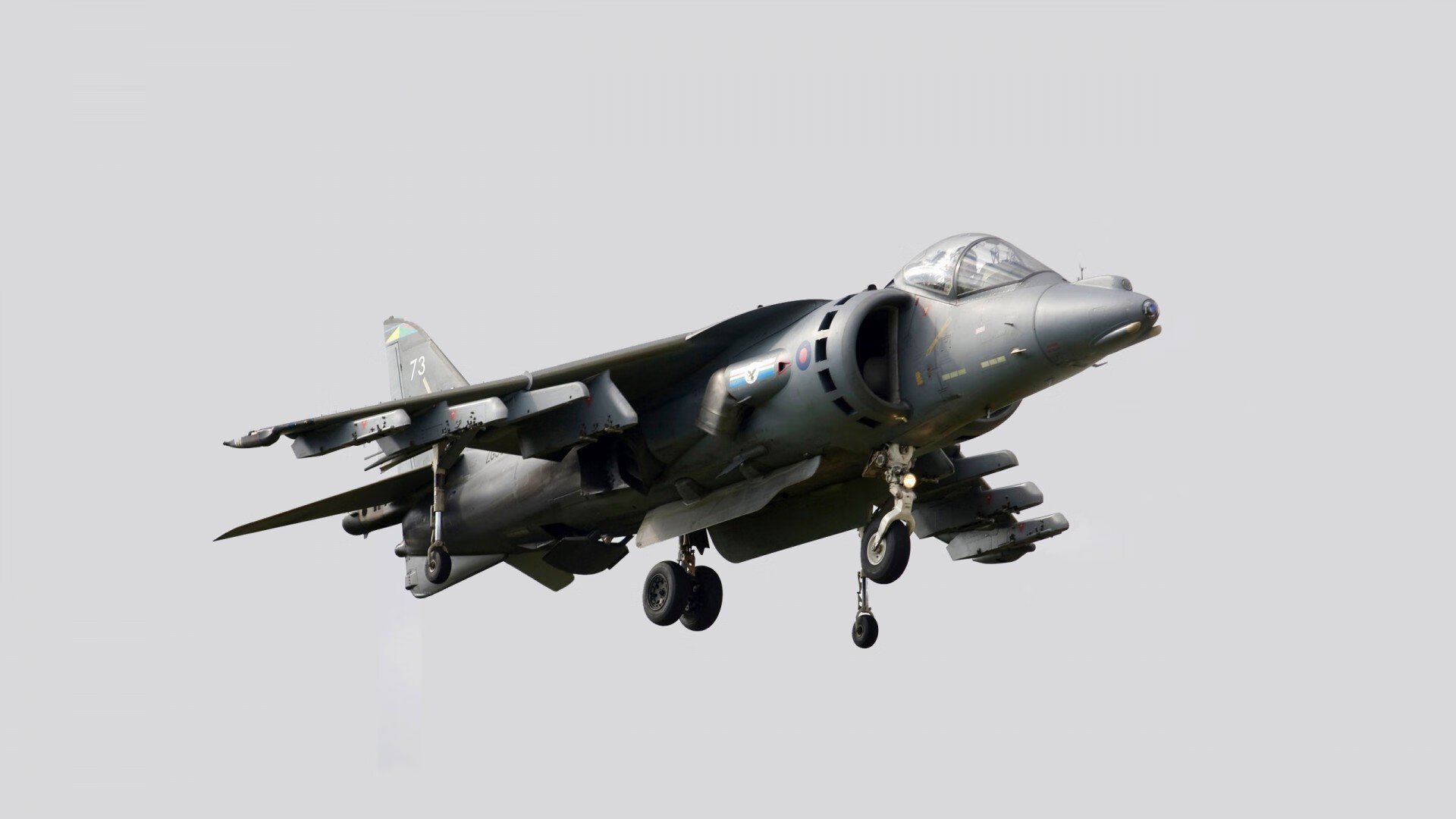 唐纳德·高尔:袋鼠队新晋领袖,攻防全面,唐纳德高德纳