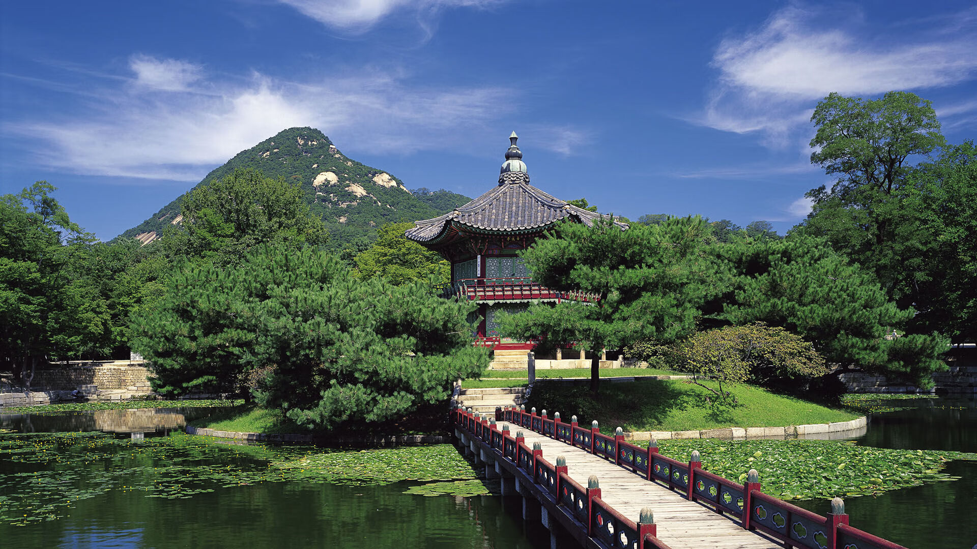 张伟丽裸绞获胜刷新亚洲纪录,张伟丽40秒ko视频