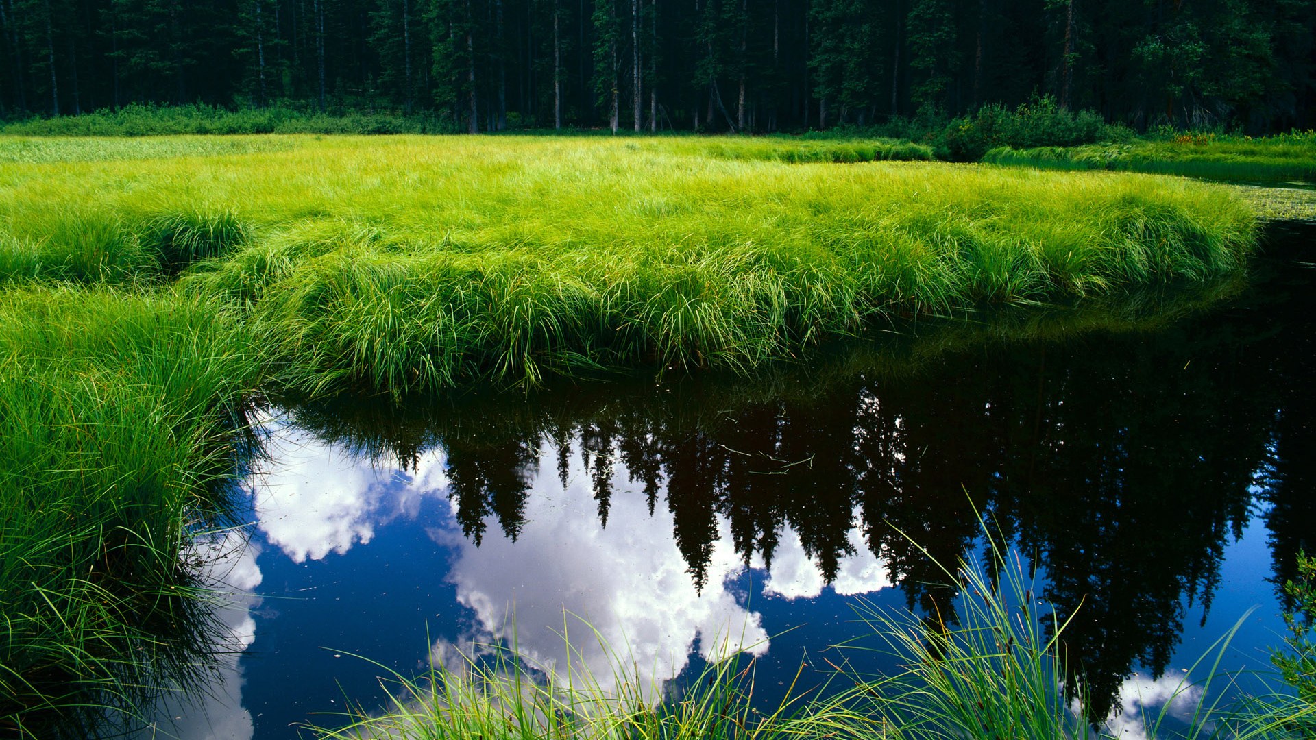 德甲激情碰撞:速度与力量的极致比拼,德甲冲刺速度