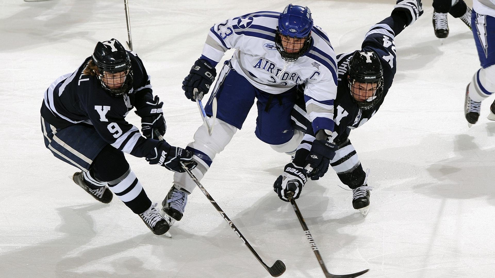 阿根廷诞生世界首批基因编辑马匹,提升马球速度,推动马术科技发展。